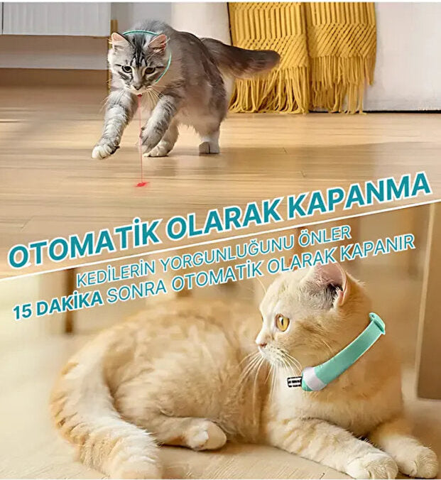 PawPet Akıllı Lazer Tasma