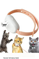 PawPet Akıllı Lazer Tasma