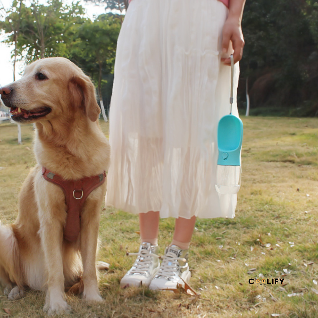 PawPet Taşınabilir Seyahat Şişesi