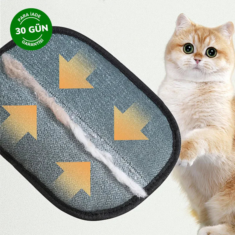 PawPet Tüy Toplayıcı Eldiven