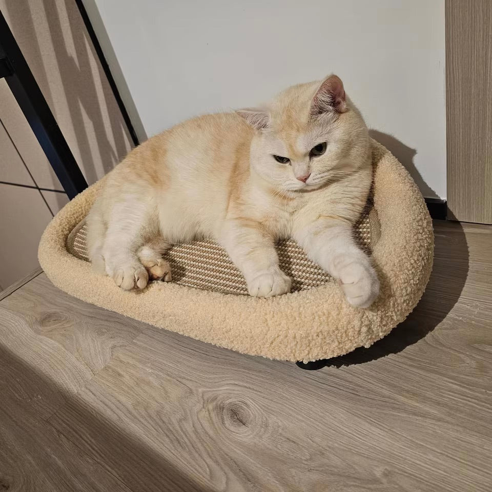 Sıcak Kedi Yatağı Tırmalama Pedi Rahat Dayanıklı