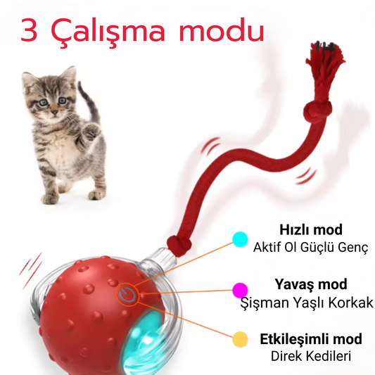 Işıklı Otomatik Hareket Eden Top